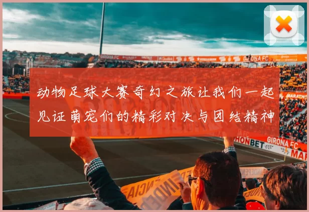 动物足球大赛奇幻之旅让我们一起见证萌宠们的精彩对决与团结精神