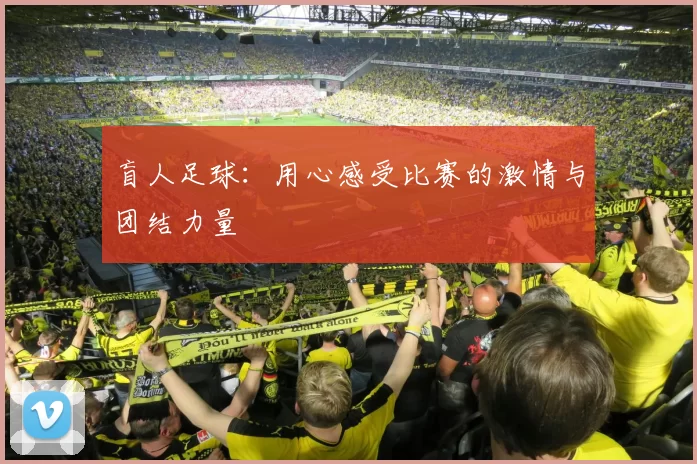 盲人足球：用心感受比赛的激情与团结力量