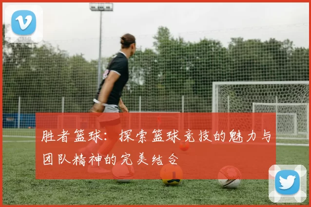 胜者篮球：探索篮球竞技的魅力与团队精神的完美结合