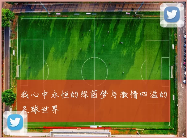 我心中永恒的绿茵梦与激情四溢的足球世界